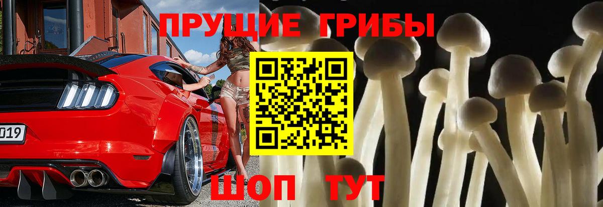 Псилоцибиновые грибы прущие грибы  Вход с VPN  Канаш  сколько стоит  Галлюциногенные грибы Psilocybe 